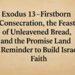 firstborn consecration